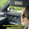 Car Sunshade and Electrostatic Barrier